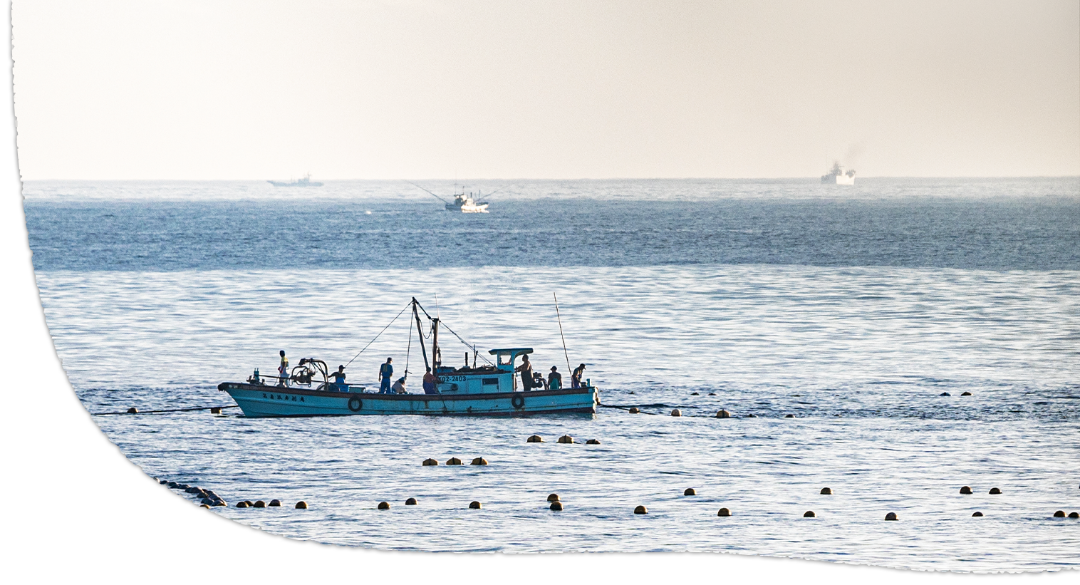 京都の海鮮問屋魚竹の問い合わせです。卸売も実施