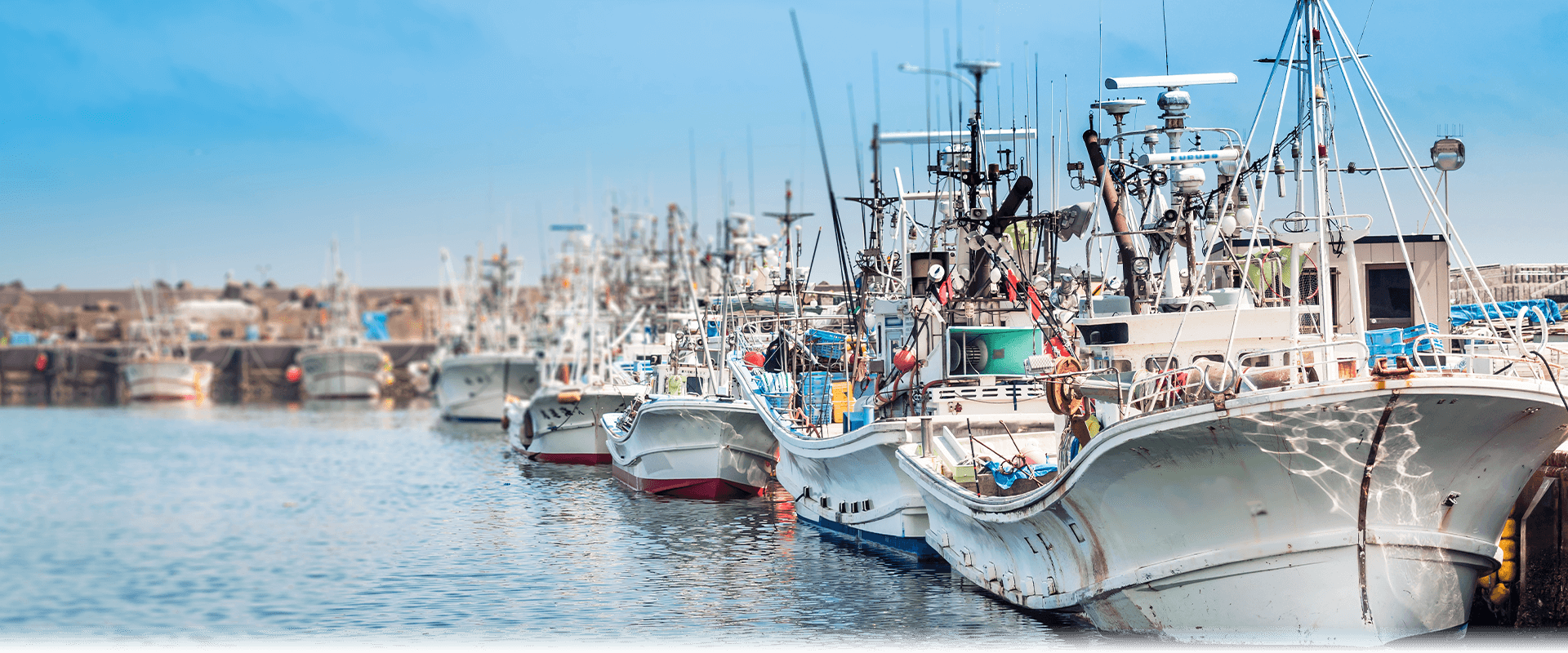 京都で新鮮で安い海鮮を扱う魚屋